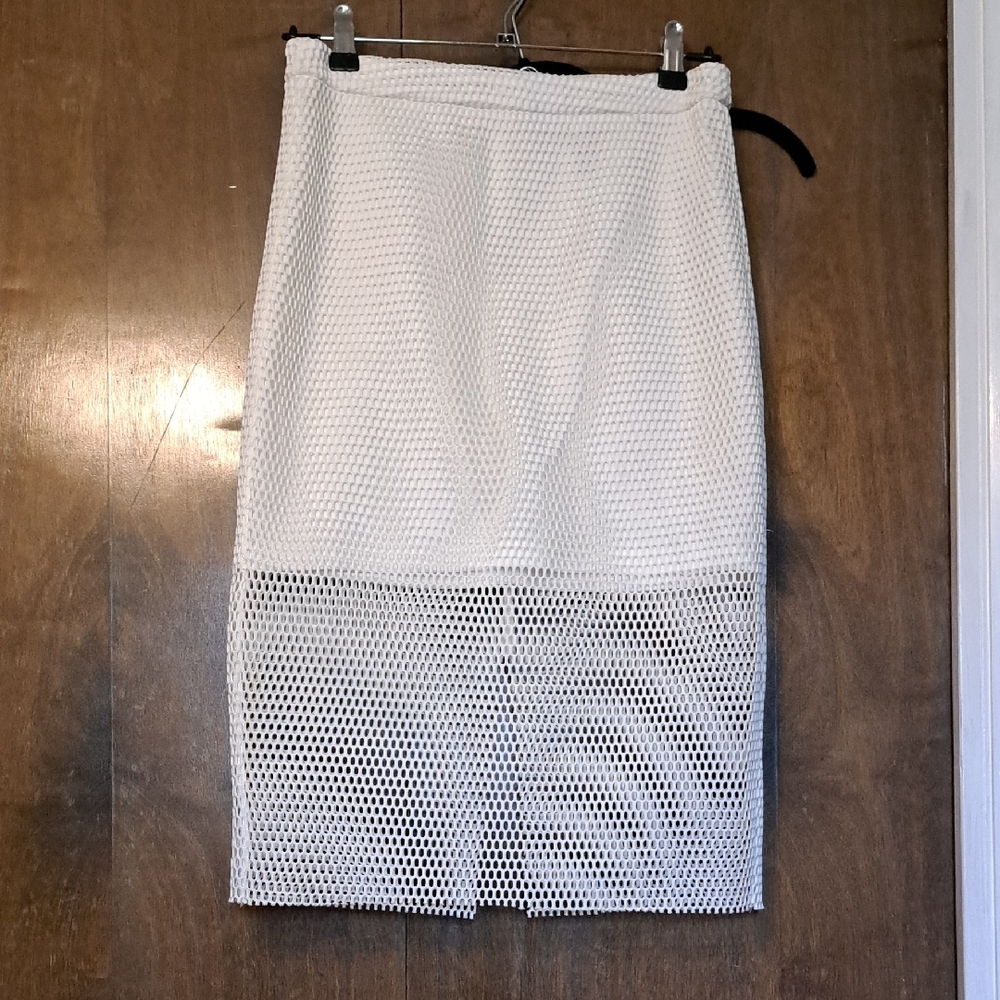 White Mesh Skirt